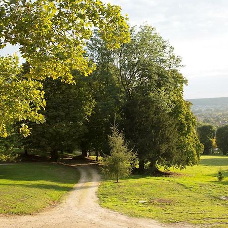 La Clairiere De La Reine Hortense - Pierres D'Histoire Saint-Prix  Exterior foto